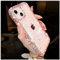 Vanqiang Luxury Glitter Bling Diamond Transparent Soft Phone Case Compatible with iPhone 16 15 14 13 12 Pro Max 11 X S XR 7 8 Plus SE3 Clear Silicone Cover (for iPhone 16,Pink)
