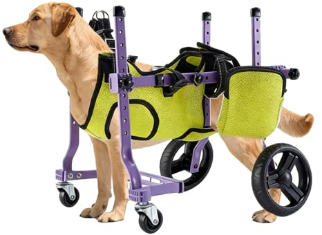 Garsent Sedia a Rotelle per Cani per Gambe Posteriori, Carrello per Sedie a Rotelle del Cane, Carrello Posteriore per Cani a 4 Ruote Integrate per Cani per Esterno e Aiuti di mobilità
