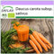SAFLAX - BIO - Carottes - Early Nantes - 1500 graines - Daucus carota