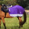 Harrison Howard Viertel Pferd Fleece und Mesh Übungsblatt - Atmungsaktiver Komfort Turnout Pferd Decke - Hi-Viz Wettkampf Teppich (L, Purple)