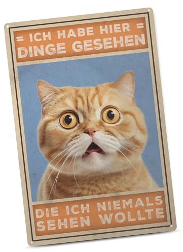 PfotenSchild Lustiges Toilettenschild - Dinge gesehen - Deko fürs Badezimmer, WC oder Gästebad, das Wandbild mit witzigem Spruch auf dem Klo - Blechschild A4, (30x21 cm)