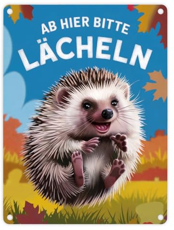 Fröhlicher Igel - Ab hier lächeln Metallschild in 15x20 cm Herbstblätter blauer Himmel freudiger Ausdruck - Verspieltes Metallschild in 15x20 cm für gute Laune überall