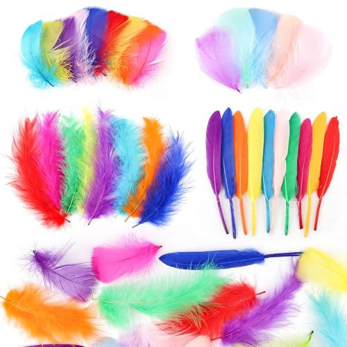 500 pcs Feathers for Crafting, 4 Styles Colorful Craft Feathers | Natural Goose Feathers for DIY Handmade Crafts, Box Filling, Dream Catcher, Mask, Party, Wedding Decoration