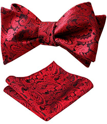 Alizeal Herren Retro Paisley Selbst Fliege und Taschentuch Set, Rotwein