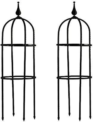 HUIKJI Lot de 2 Grillage Rigide Treillis de Jardin en Acier avec Revêtement en Poudre pour Plante Grimpante avec Bras Réglables 20 x 60 cm