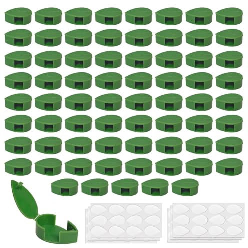 HAVIRI 70 Clips de Support pour Plantes Grimpantes, Attache Plante Grimpante, Accroche Plante Murale Verte, Fixation pour Lierre, Pothos, Philodendron et Plantes d'Intérieur