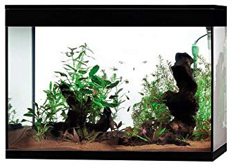 Askoll Aa350074 Pure High Cube LED Aquarium XXL, schwarz