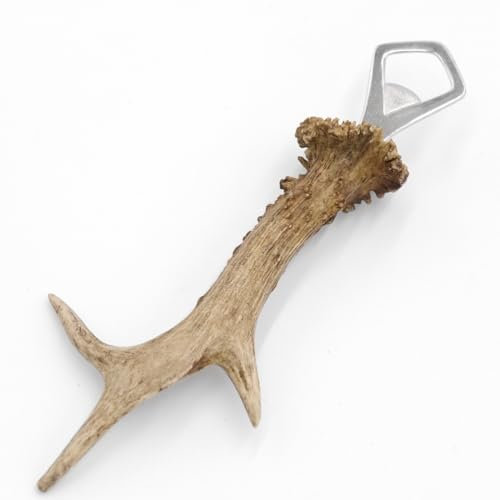 GTK - Geweihe & Trophäen KRUMHOLZ Flaschenöffner Öffner REH Geweih Stange Horn Abwurfstange Länge 23 cm 27.1.443