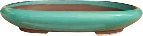 BIOMATA Maceta Bonsai Ceramica para Kifu 22,8x17,3x4,2 cm | Tiesto Ovalado | Maceta para Bonsai Resistente a Cualquier Clima | Tiesto Ceramica con Drenaje (Verde)