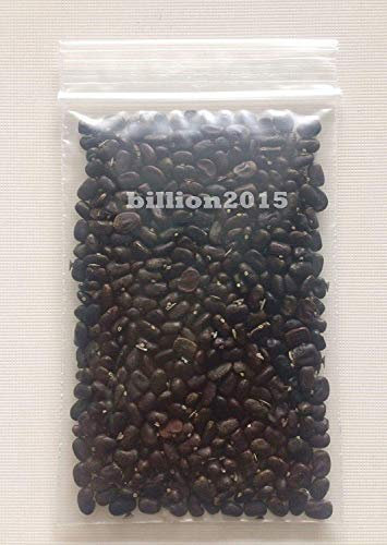 seedsown Germination Les graines: 100 graines Papillon Bleu Pois, Clitoria ternatea, Asie Pigeonwings, Thai Biologique