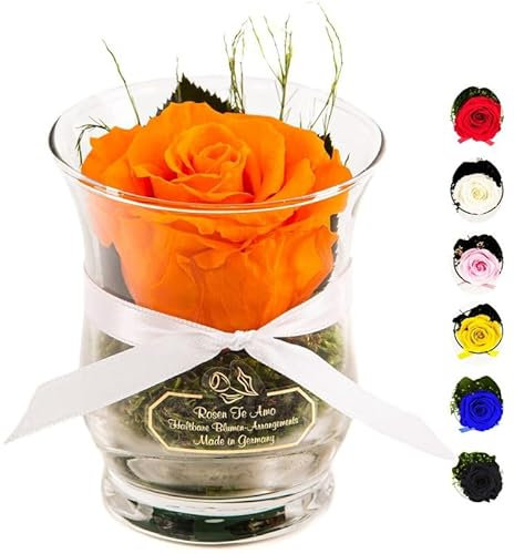 Rosen-Te-Amo |Ewige Rose im Glas, duftend, handgefertigt, orange|Echte ewige Rose in Geschenkbox |Geschenk für Frauen, Mama|Konservierte Rose zum Weihnachten, Valentinstag, Muttertag, DekoGeschenk