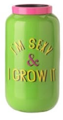 Gift Company Saigon, Vase mit Metallring, XXS(H12cm), Motiv: I'm sexy & i Grow it, grün/pink, 6x12x6cm