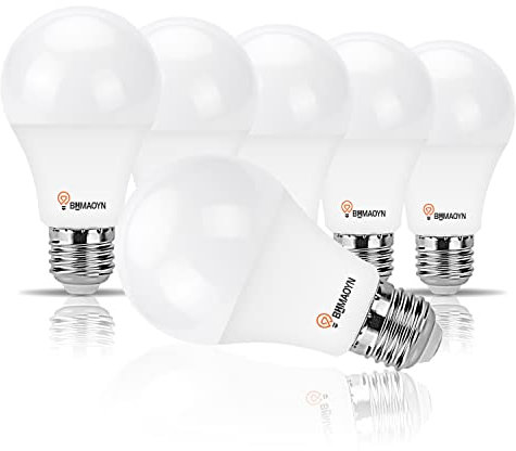 BHMAOYN Glühbirne 12V 24V LED E27 10W Kaltweiß 6000K Für Wohnmobil/Gartenhaus,270° 1100LM,E27 24V Garagelampe,AC/DC E27 12V 24V LED-Lampe für Schiff Yacht,Sonnensystem,Garage Kabine,6er-Set