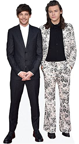 Louis Tomlinson And Harry E. Styles (Duo 2) Mini-Prominente Ausschnitt