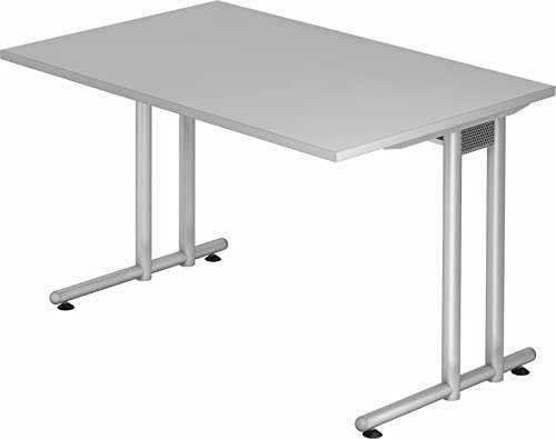 bümö Schreibtisch klein N-Serie 120x80 cm, Tischplatte aus Holz in grau, Gestell aus Metall in Silber - PC Tisch, Kleiner Computertisch für's Büro, Office Bürotisch