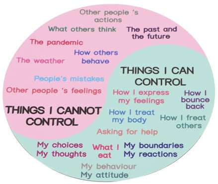 SOIMISS Emotional Yin Yang Stickers Feeling Wheel Magnet Decorative Emotion Chart Decal for Laptop Refrigerator Boys and Girls Feelings Flip