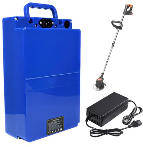 SSCYHT Lithium Battery 48V 25Ah Replacement Battery 24V 12Ah 15Ah 30Ah 20Ah Li-ion Batteries 60V Lawn Mower Batteries with Charger and BMS for 250W - 1200W Motors,24V20Ah