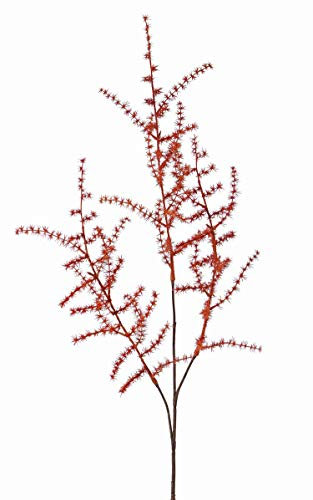 artplants.de Deko Zweig Asparagus acutifolius Zweig HANS, orange, 70cm - Kunstzweig