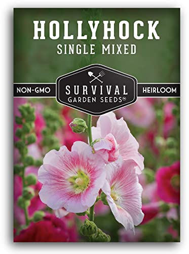 Single Mixed Hollyhock Seeds for Planting, Old-Fashioned Flowers - 1 Pack