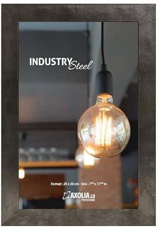 Axolia Cadre Photo 20x30 cm en résine avec verre minéral - Décoration murale - Industry Steel - Métal brossé