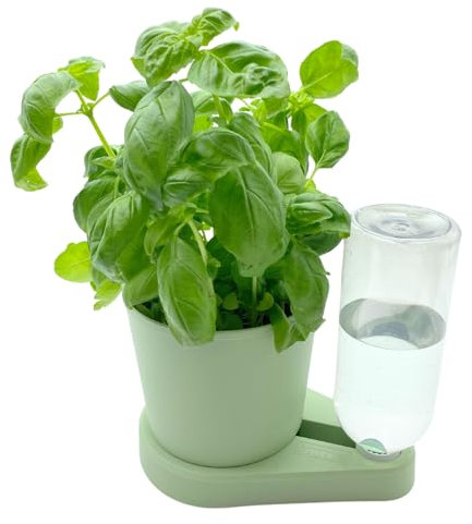 greevi kräuterheld | Selbstbewässernder Pflanztopf für Küchenkräuter | Made in Germany | Kunststoff (Standard, hellgrün)