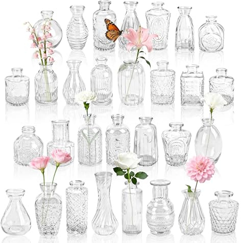 Der Rose 30 Stück Transparent Blumenvase Set für Tischdeko Wohnzimmer Deko