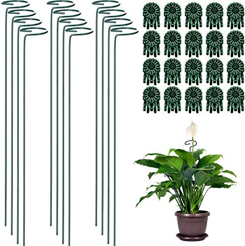 Hotop 12 Pieces Plant Support Stakes, 40 cm/ 15.9 Inch Single Stem Plant Support with 20 Pieces Phalaenopsis Gardening Clip Vine Fixing Clip for Small Plant Flower (Dark Green)