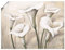 ARTland Wanddeko Poster & Kunstdrucke Wandposter 120x90 cm Querformat Pflanzen- & Blumen Blumen Calla T4KI