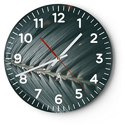 Modern Wanduhr Blatt Palme exotisch 40x40cm Rund Groß Wand Uhr Glas Analog Zimmeruhren Küche Büro Wohnzimmer Glasuhr Wall Clock Dekoration Design Wanddekoration Küchenuhr C4AR40x40-4907