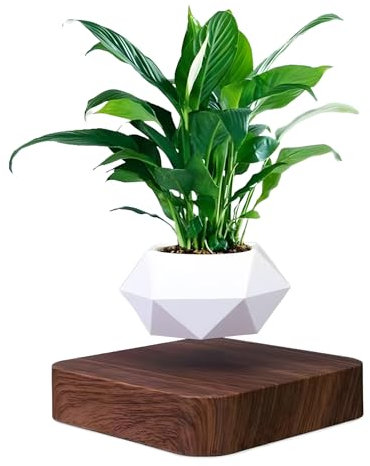 ETRAVEL Bonsaï en lévitation - Foncé - Intérieur - M - Résine - Rotatif