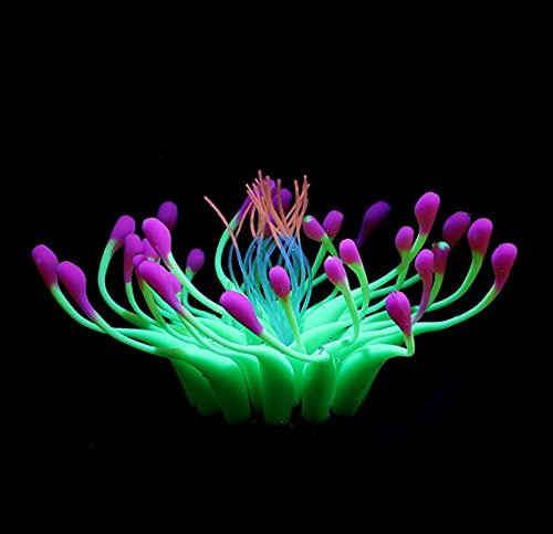 PetPhindU Artificielle Fluorescence Aquarium Décoration Aquarium Seaweed Aménagement Paysager Aquarium Décor Plantes Aquatiques Aquarium Corail Ornement Imitation Plantes pour Aquarium Aménagement