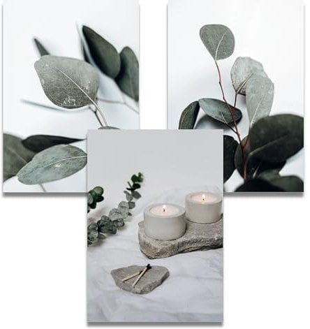 Favelot Poster Set mit schwarzen Rahmen - Aesthetic Wandbilder für Wohnzimmer - Boho Bilder grün weiß, Pflanzen Eukalyptus, 3x Din A4