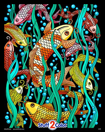 Koi Fish – Fuzzy Malposter 40,6 x 50,8 cm