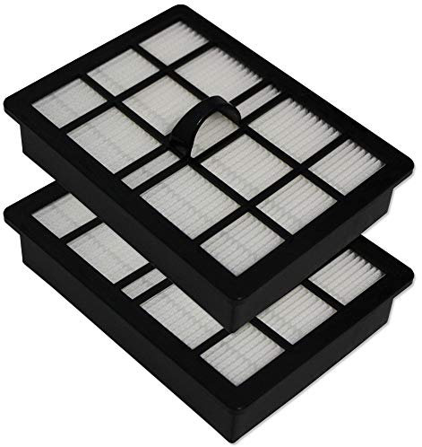 Set - 2 Filtre HEPA pour Aspirateur Nilfisk Action Action Plus Parquet