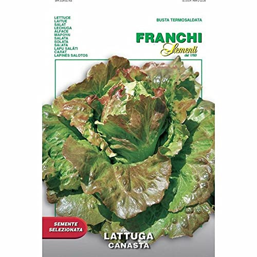 Semi Lattuga Canasta Insalata Franchi Sementi 4g