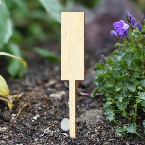 Bütic Sperrholz Pflanzschilder Gartenstecker - Motivauswahl, Motivauswahl:Pflanzstab, Set mit:10 Stück