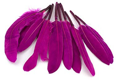 10 Indianerfedern ca. 10-15cm (magenta/purpur 400) // Dekofedern Bastelfedern Masken Federn Schmuckfedern Vogelfedern