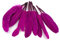 10 Indianerfedern ca. 10-15cm (magenta/purpur 400) // Dekofedern Bastelfedern Masken Federn Schmuckfedern Vogelfedern