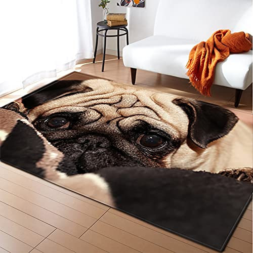 Mateju Teppich Schlafzimmer Wohnzimmer Teppich 3D Tierdruck Dekoration Waschbarer Flanell Teppiche Balkon Terrasse Küchenteppich Bodenmatte Fußmatte (100x120cm,Mops)