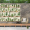Ulticool – Pflanzen in Blumentöpfen Kaktus Natur - Wandteppich Poster - 200x150 cm - Gartenposter - Wandteppich groß – Dekoration Zubehörteil für Garten und Wohnzimmer
