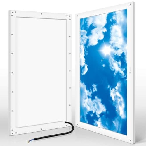 Awenia 24W LED Deckenleuchte Dimmbar 30x60 Panel Lampe Neutralweiß KaltWeiß (4000K-6500K) Flimmerfrei Deckenlampe 2400lm Wandlampe für Schlafzimmer Küchen Esszimmer Wohnzimmer Balkon Büro