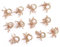 Homebia Designs Serviettenring mit Kupfer-Goldperlen, elegant, schön, ausgefallen, dekorativer Serviettenhalter für Esstisch, Weihnachten, Bauernhaus, Hochzeit, Party, Erntedankfest, Alltag, 12 Stück