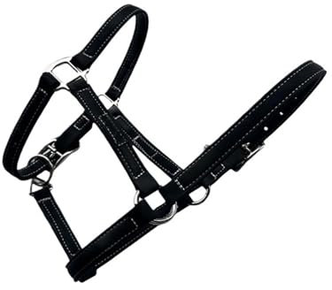 LXLAEOANG Cavalli Redini Corda for Briglia for Cavallo Attrezzatura equestre Corda for Briglia for Cavallo in Fibra Accessori for finimenti for Cavalli Piccoli e Corti Redini(L1.35-1.65m)