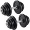 SONGMICS Hanteln, Hantelset aus Gusseisen, Kurzhanteln, 2 x 25 kg, verstellbar, Workout, Fitnesstraining, Gewichtheben für Zuhause, Fitnessstudio, tintenschwarz SYL50BS