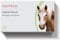 Allergie-Check Pferd (Allergie Check Standard)