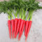 Semi di carota rossa 30 pezzi