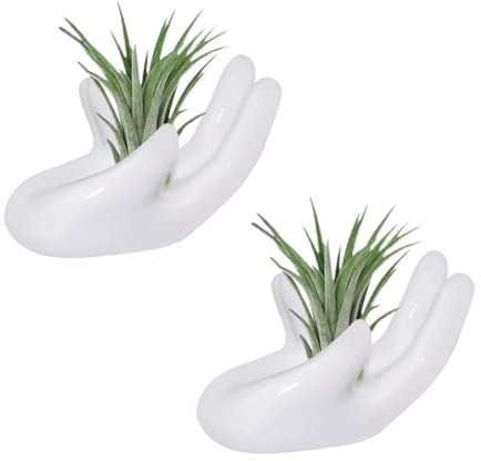 ourhommie Porta piante grasse Tillandsia, in ceramica, decorazione per la casa, per scrivania, tavolo, mensola (2 pezzi)