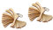 BESTonZON 40 STK Puppenkleiderbügel aus Holz Rockaufhänger Puppenhaus Kleiderbügel Kinder holzspielzeug Puppen Kleidung Haustierkleidung Babys Puppen bjd Puppen aufhänger hölzerner Aufhänger