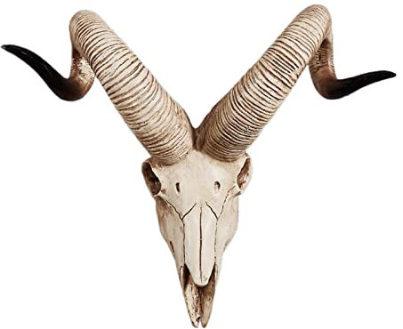 Pleayietoopiatiey Resin Long Horned RAM Decor Skull Wall Mount Skull Decor for Home Office D 42x34x16 cm, Type D