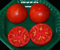 CELEBRITY HYBRID TOMATENSAMEN*** GROßE 100 PKT. *** KOMPAKTE PFLANZE FÜR SCHWERE ERZEUGNISSE